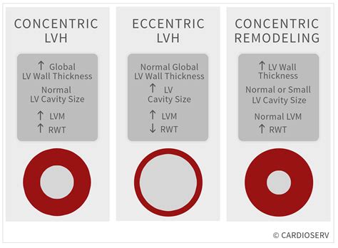 concentric lvh means|concentric lvh vs eccentric.